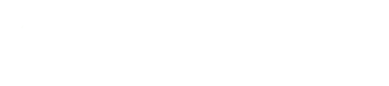 BrsVocab White logo